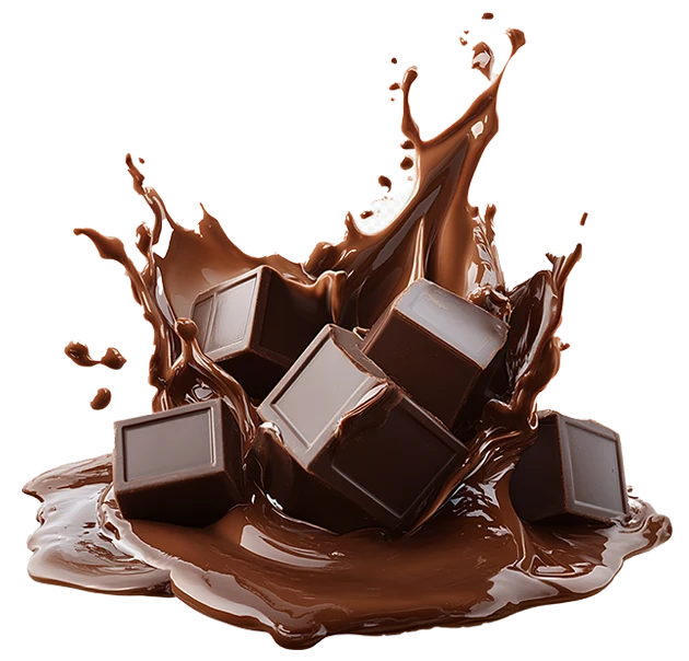 Le savoir-faire chocolatier
